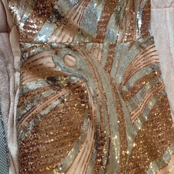 The Perfect Gown- Sequin Gown, HI Low Mermaid Hem, Rose Gold and Silver Sequins - Picture 8 of 8